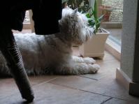 Klik op de foto voor groter formaat